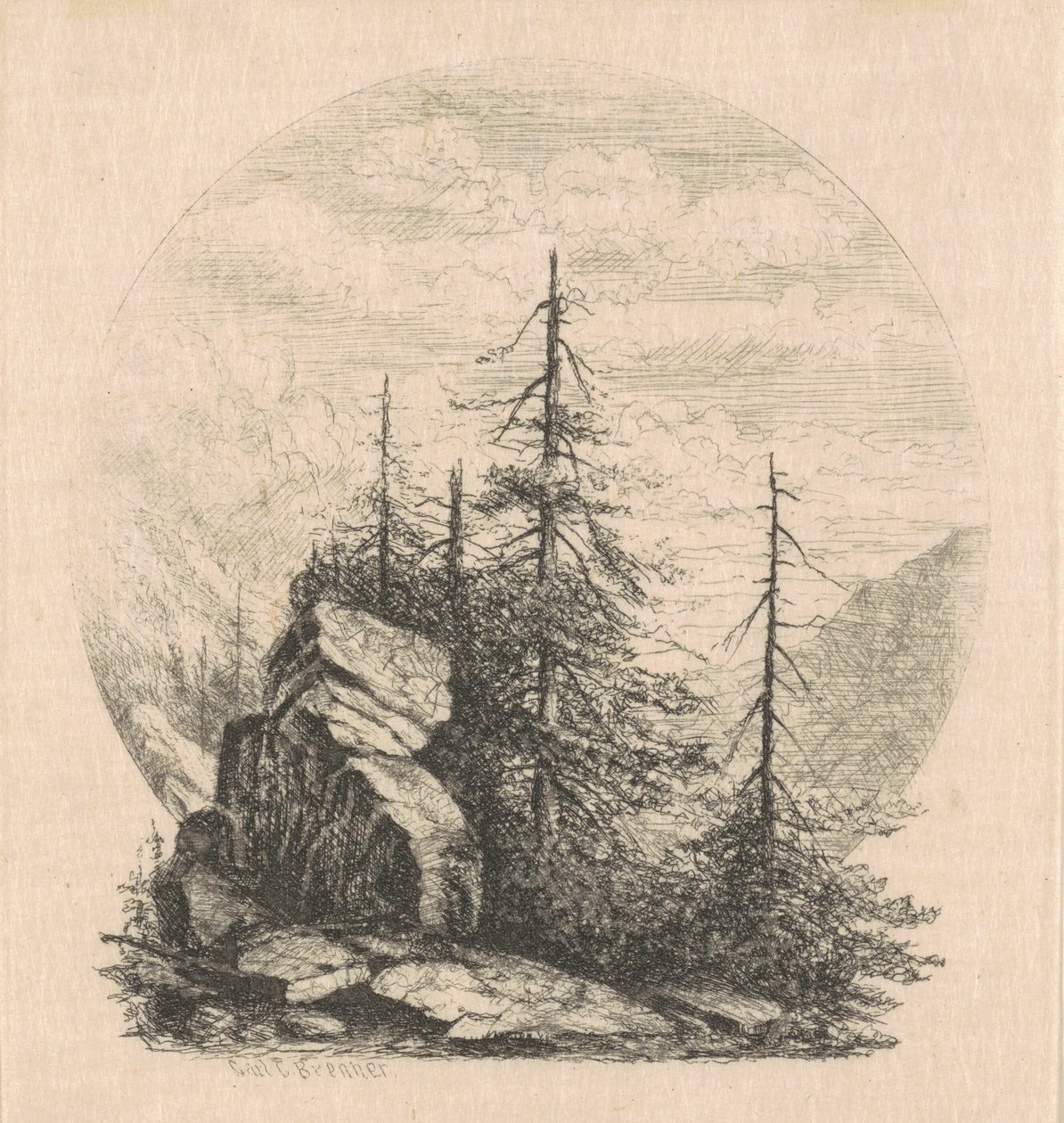 Pines av Carl C. Brenner