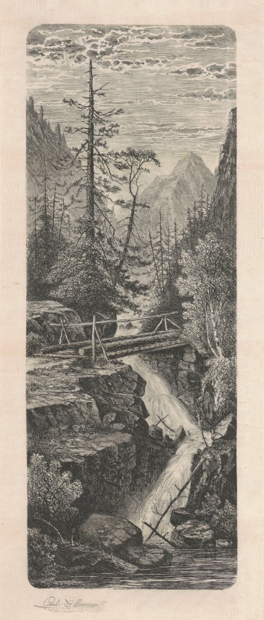 Foss, Rocky Mountains av Carl C. Brenner