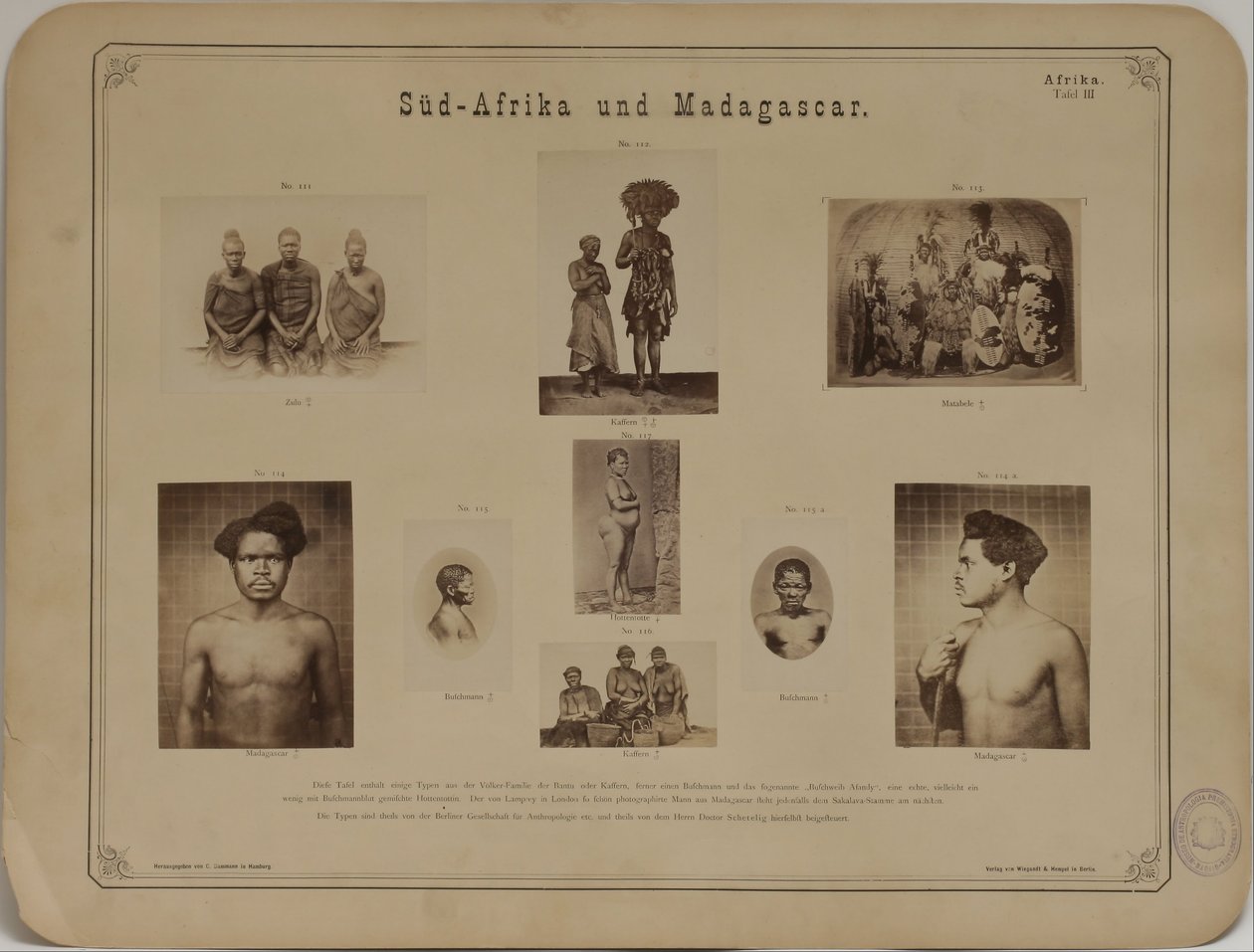 Fotoalbum om antropologi- etnologi av Carl Dammann