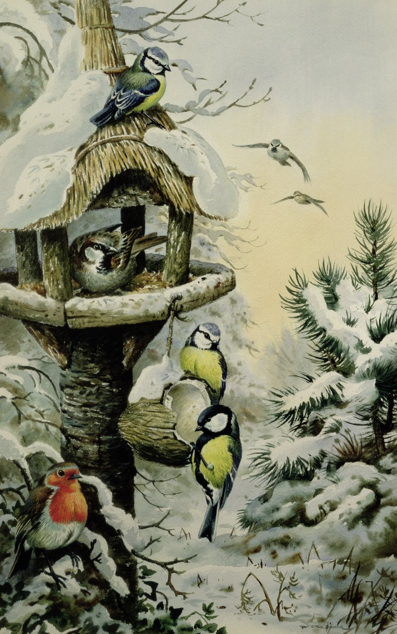 Vinterfuglebord med blåmeiser, kullmeiser, gråspurver og en Robin av Carl Donner