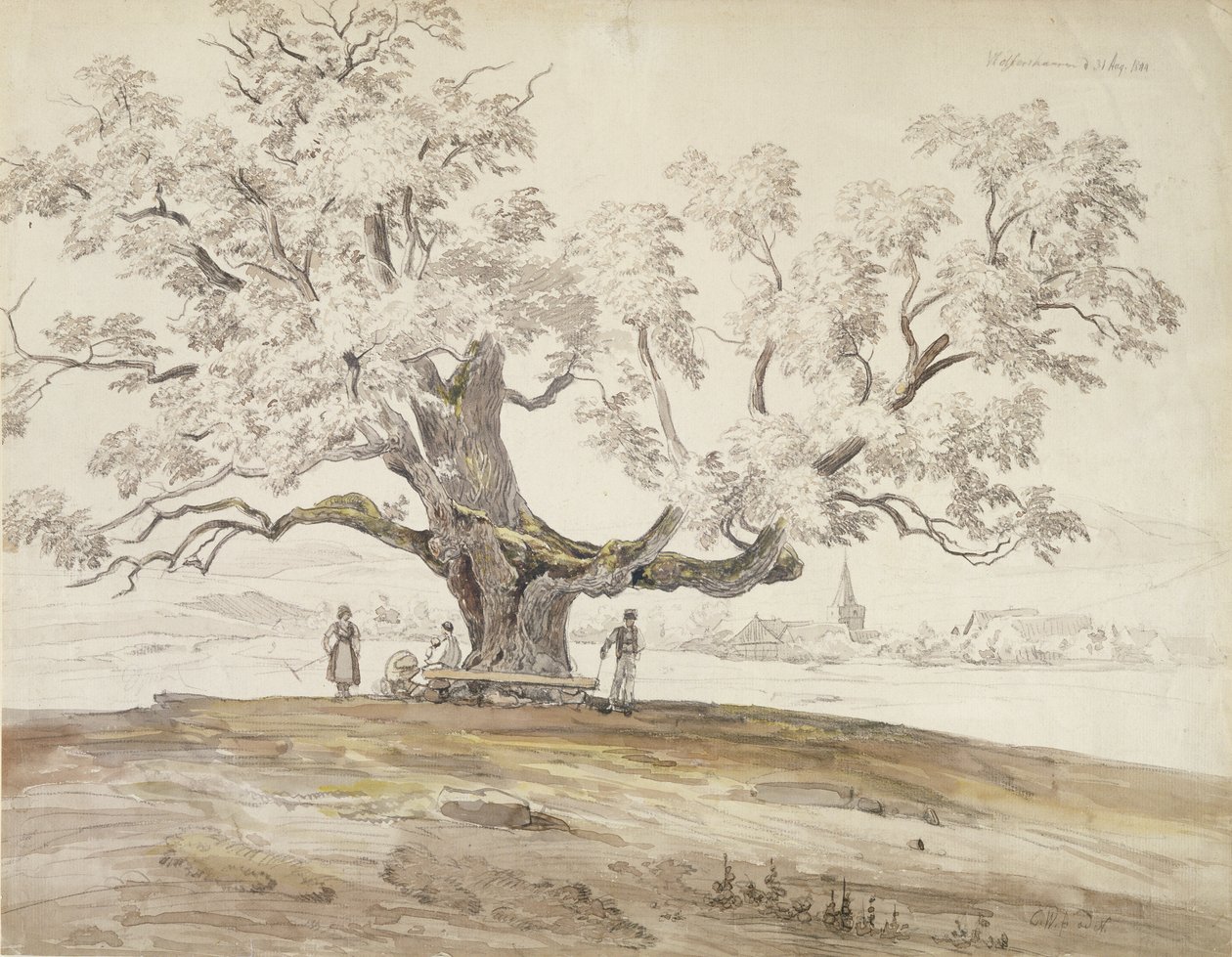 Utsikt over Wolfershausen bei Meiningen med et gammelt eiketre, 1844 (grafitt og wc på papir) av Carl Ernst Ludwig Wagner