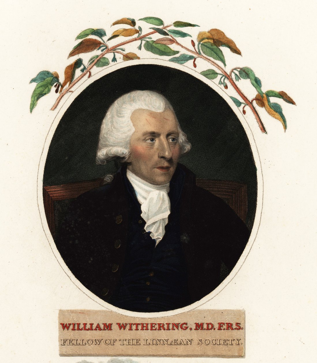 Portrett av William Withering, lege og botaniker av Carl Frederik van (after) Breda