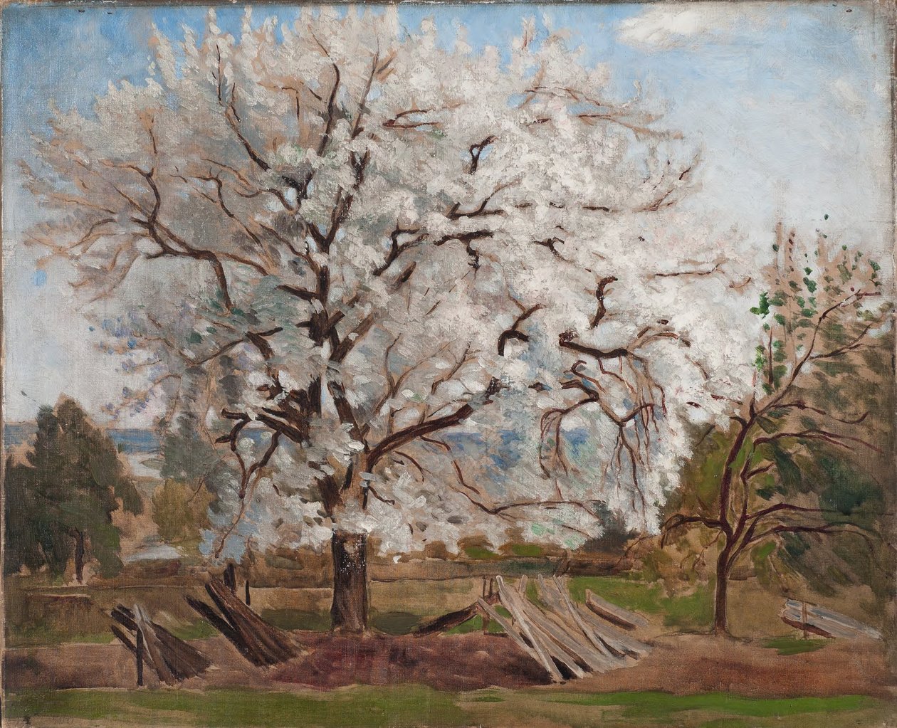 Epletre i blomst av Carl Fredrik Hill