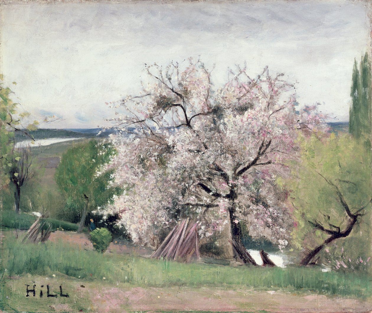 Frukttre i blomst, Bois-le-Roi av Carl Fredrik Hill