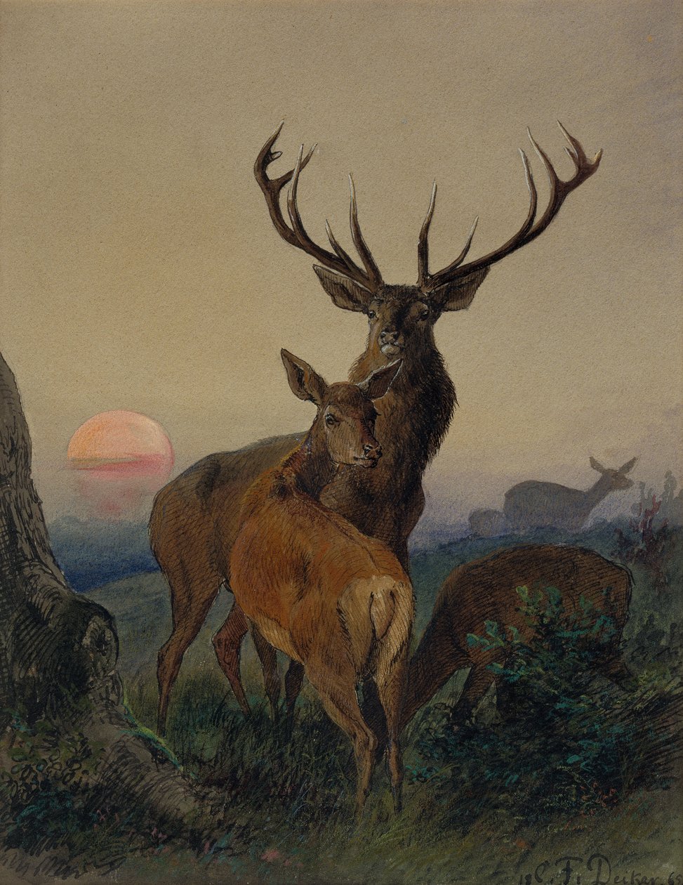 En hjort med en hjort i et skogslandskap ved solnedgang av Carl Friedrich Deiker