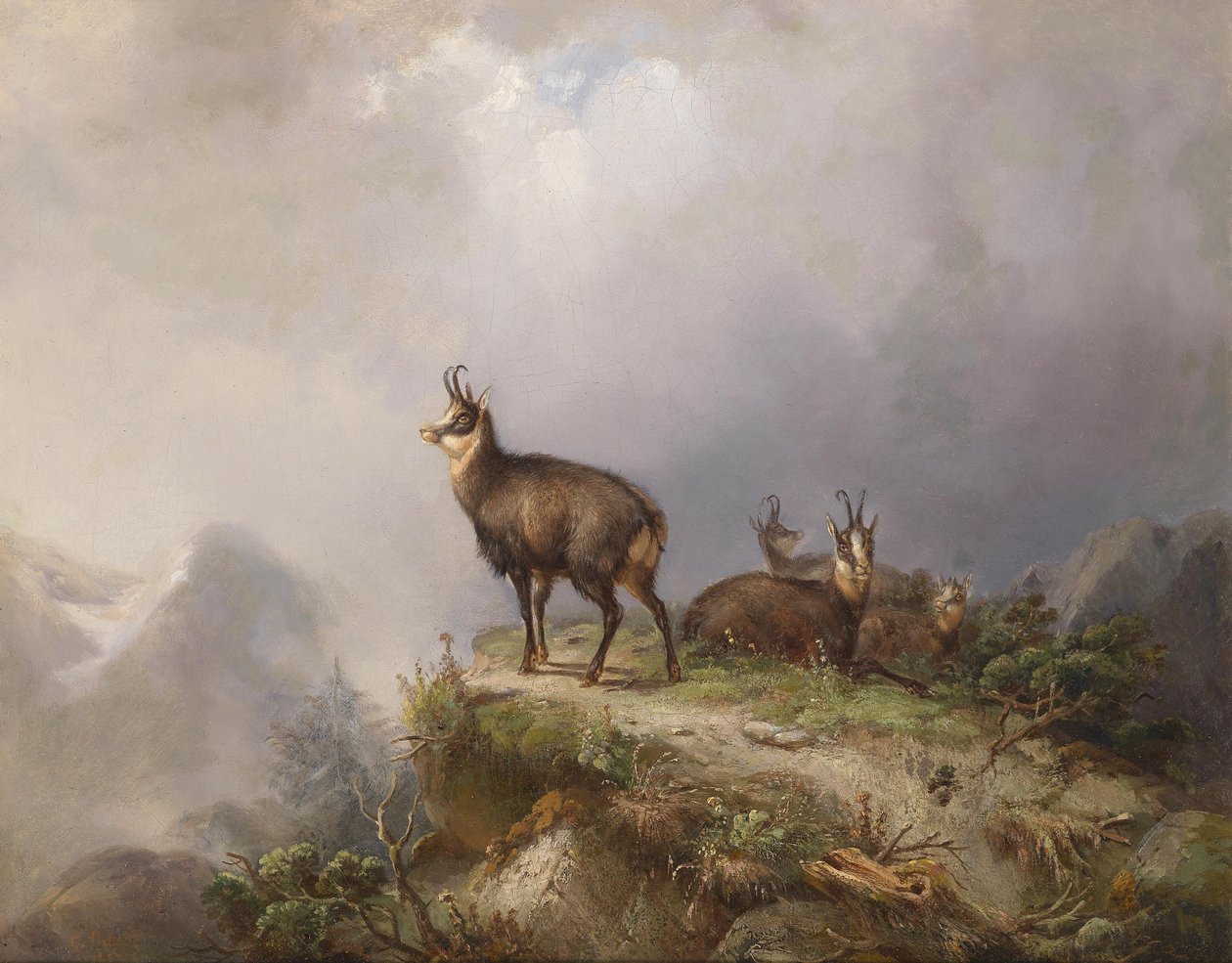  av Carl Friedrich Ockert