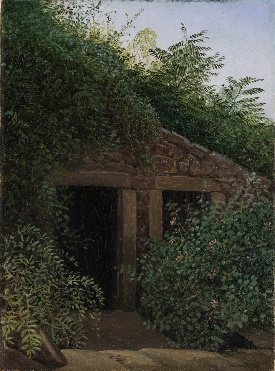  av Carl Gustav Carus