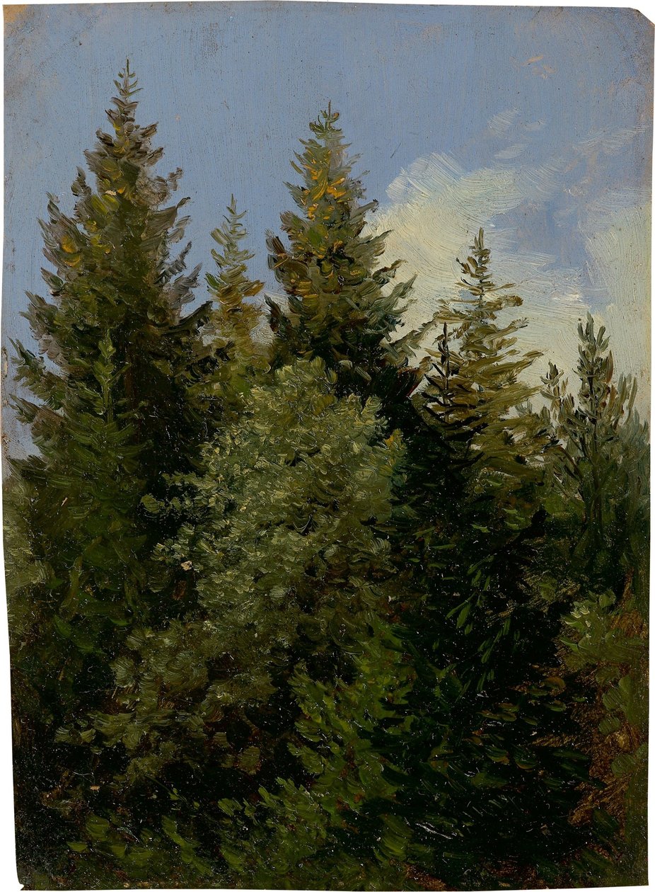 av Carl Gustav Carus