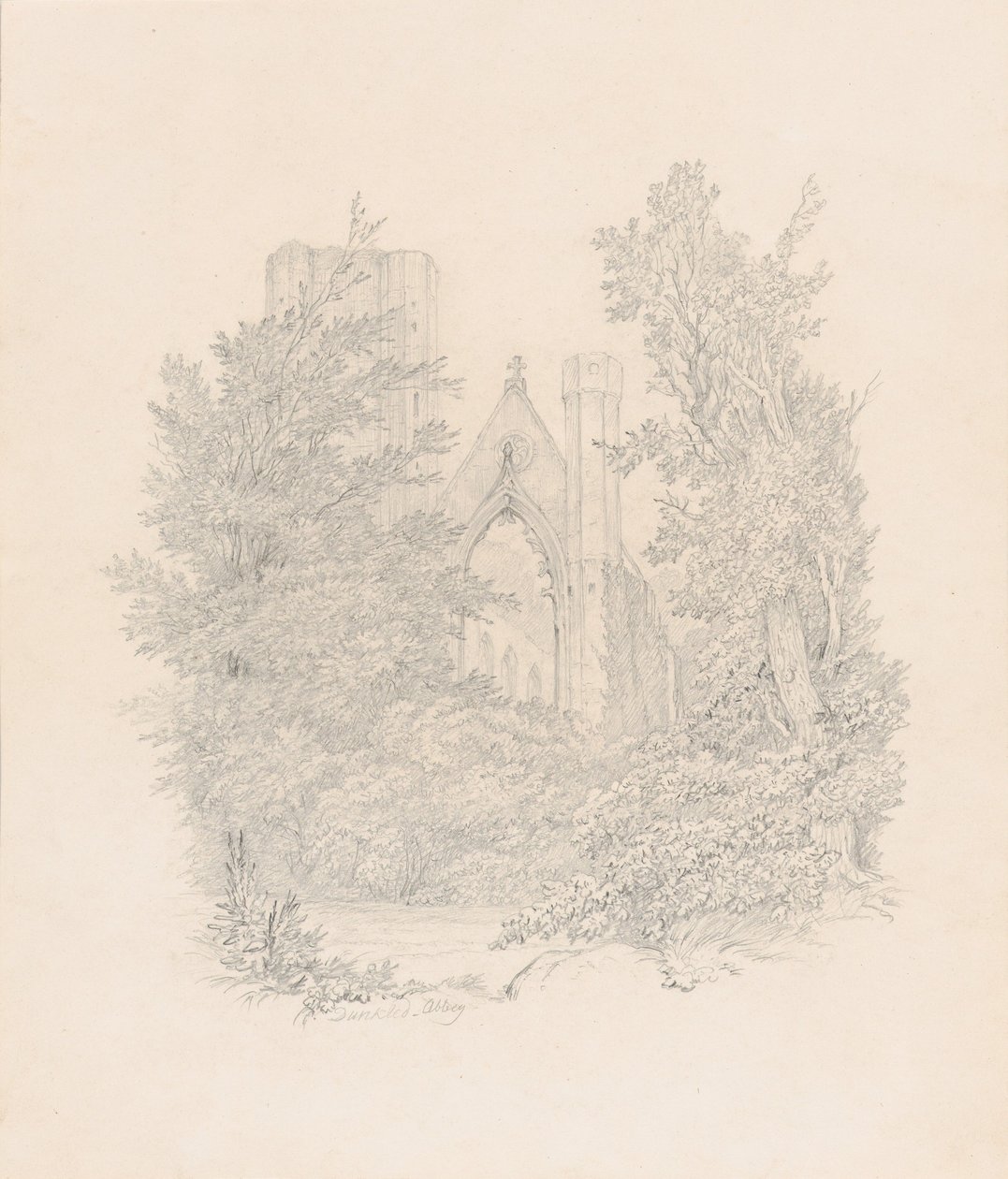  av Carl Gustav Carus