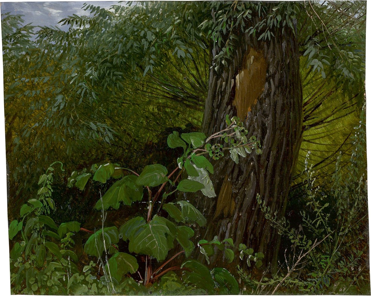  av Carl Gustav Carus