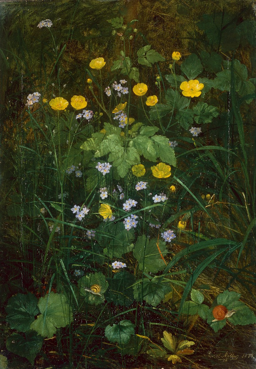 Smørblomster og forglemmigei på et skoggulv av Carl Henrik Koch Moller