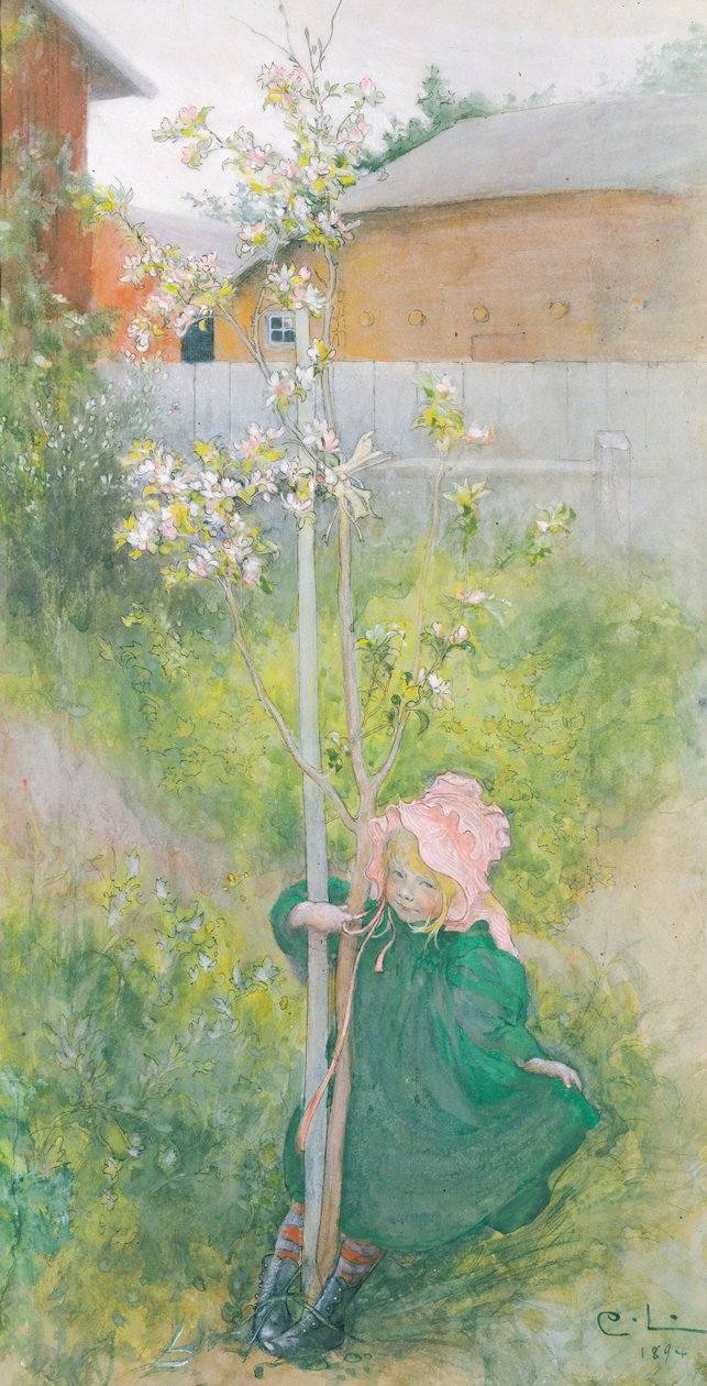 Appleblossom, 1894 av Carl Larsson