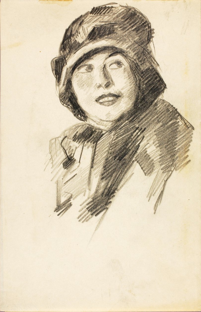  av Carl Newman