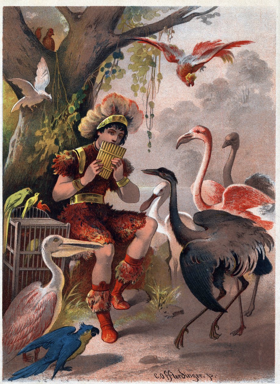 Papageno med panfløyte bringer fuglene fra skogen. Illustrasjon av Carl Offterdinger (1829-1889) i "" Den fortryllede fløyten"" (Die Zauberflote, flauto magico, Tryllefløyten). Privat samling. av Carl Offterdinger