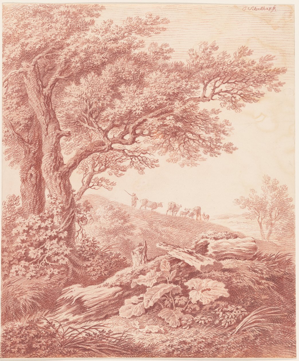 Gamle trær i et pastoralt landskap av Carl Philipp Schallhas
