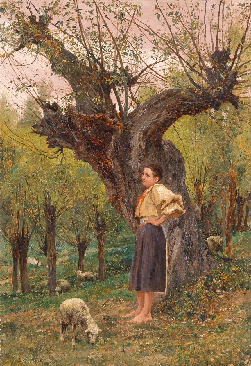  av Carl Rudolf Huber