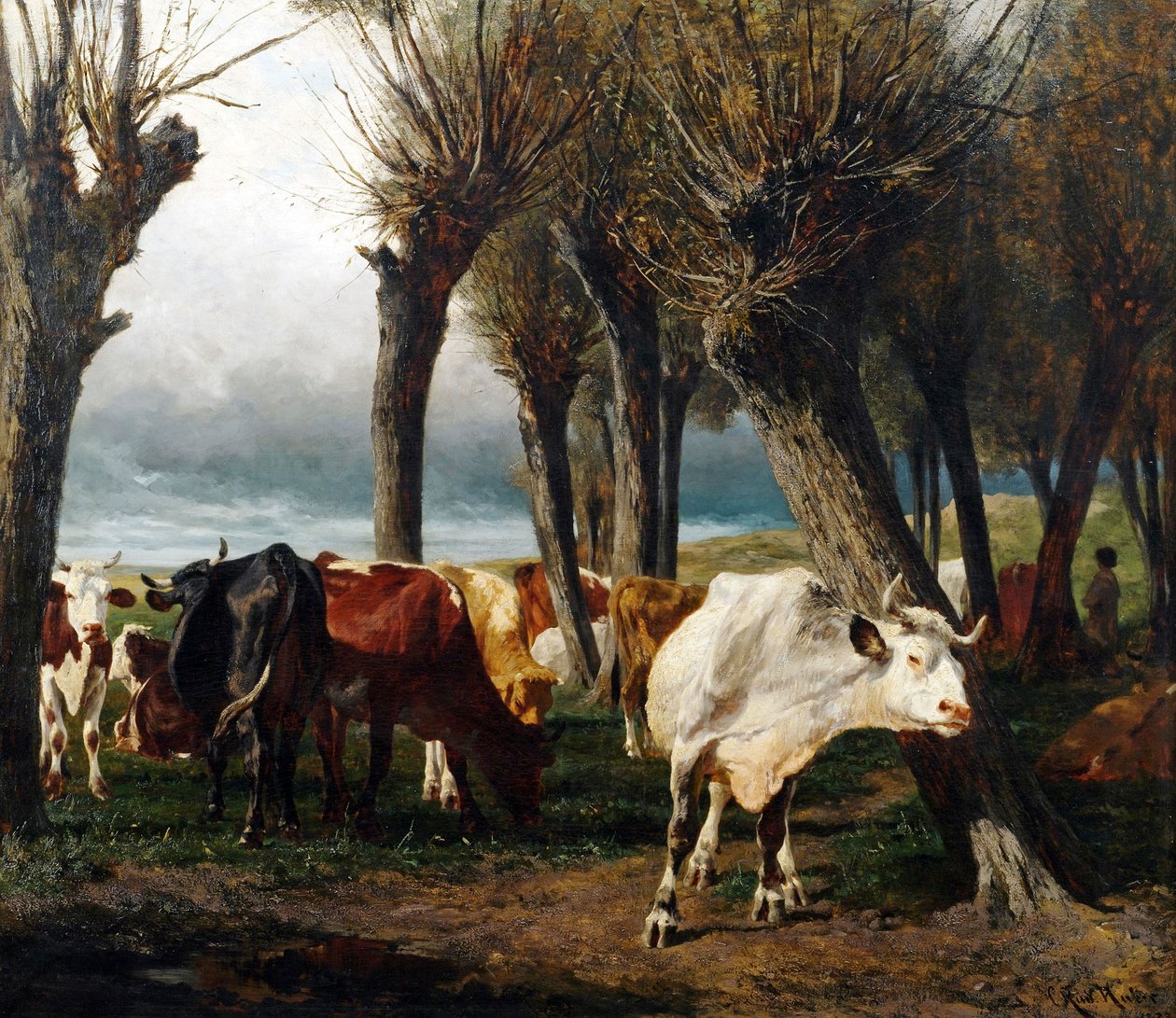 av Carl Rudolf Huber