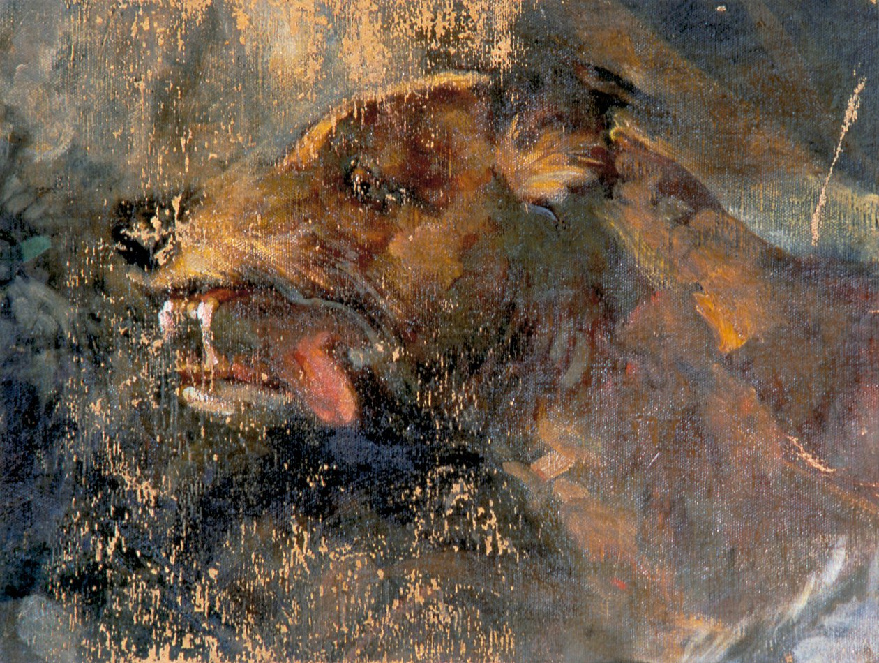hundehode av Carl Rudolf Huber