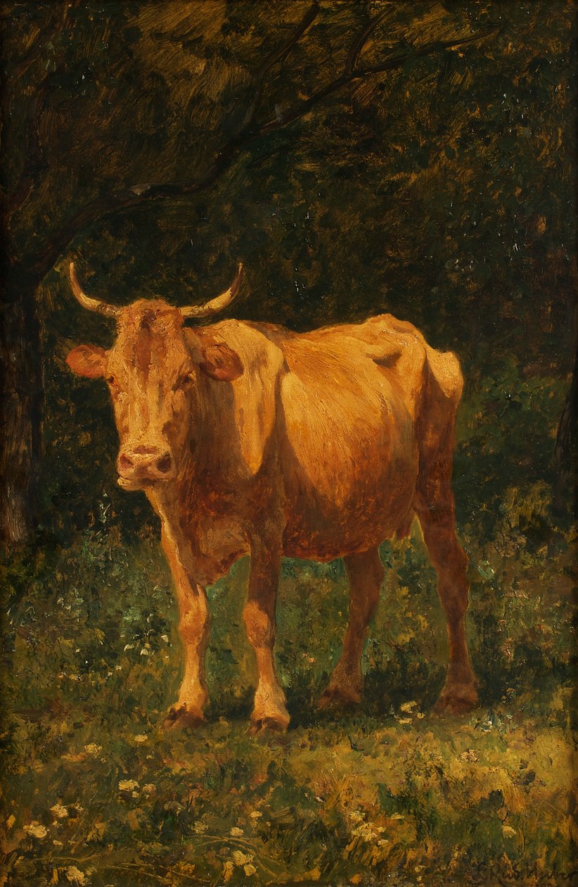 Brødfarget ku av Carl Rudolf Huber