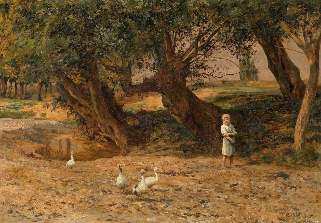  av Carl Rudolf Huber