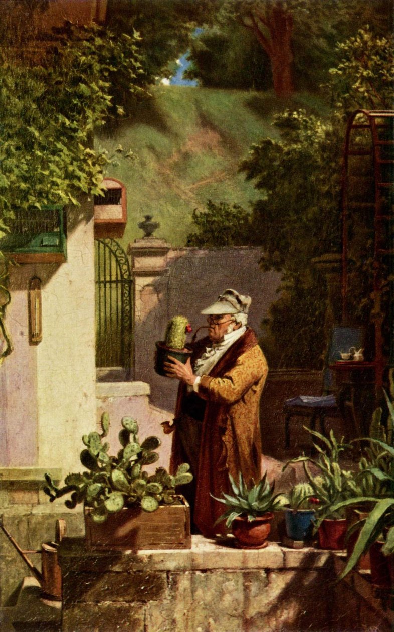Kaktus av Carl Spitzweg