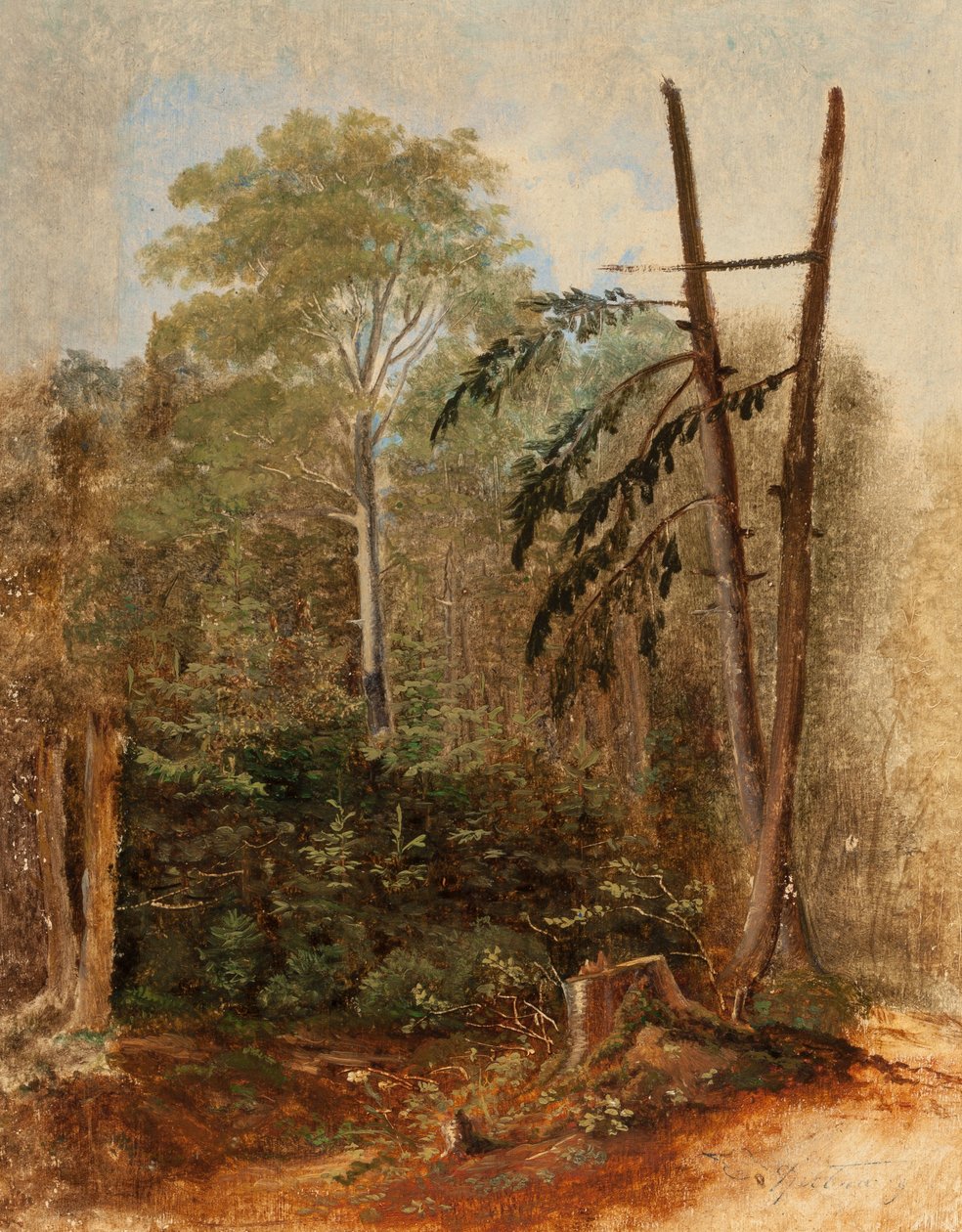 Studie av et skoglandskap av Carl Spitzweg