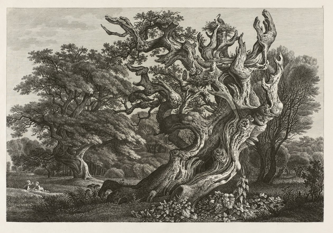 Fantastisk stort eiketre med et storkereir (etsing) av Carl Wilhelm Kolbe