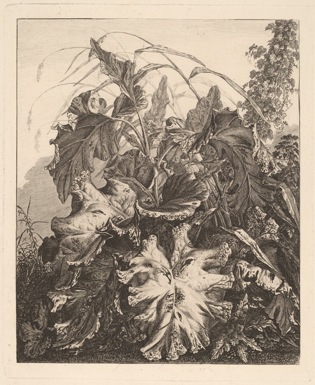 Løvverk med siv av Carl Wilhelm Kolbe