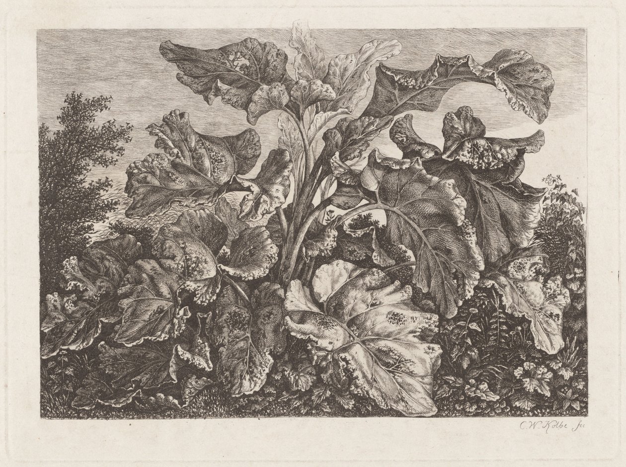 Plantestudie med burdock av Carl Wilhelm Kolbe