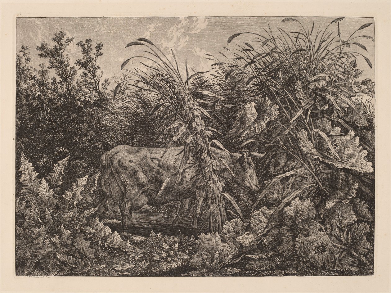 Kua i sumpen av Carl Wilhelm Kolbe, the elder