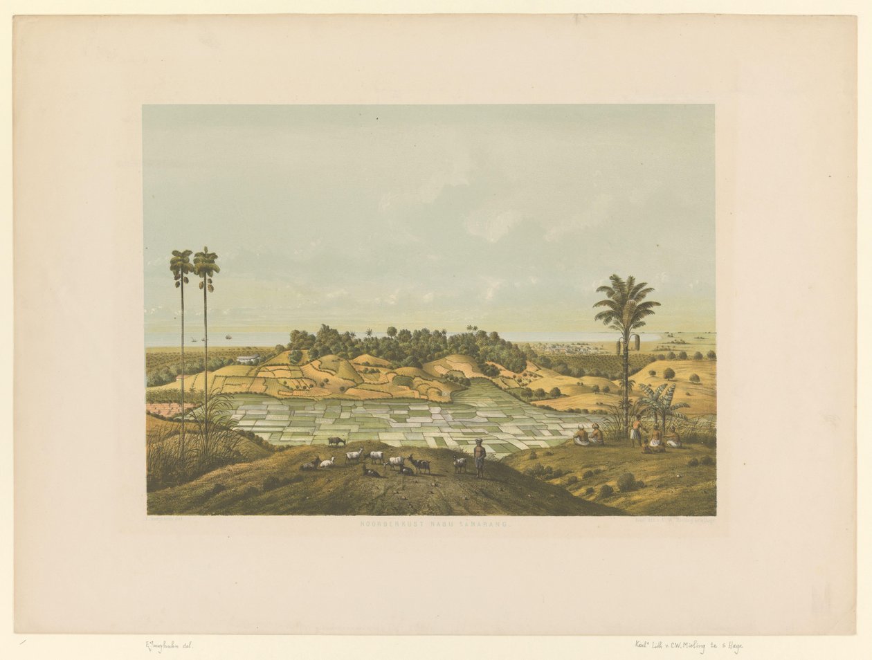 Utsikt over et landskap nær Semarang Nordkysten ved Semarang (tittel på objekt) av Carl Wilhelm Mieling (possibly)