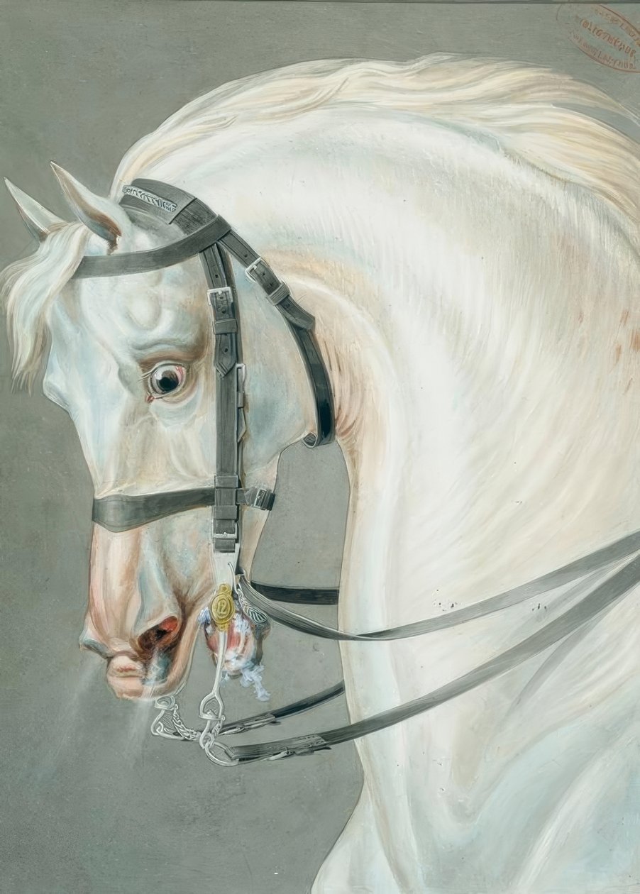 hodelag for riflehester av Carle Vernet