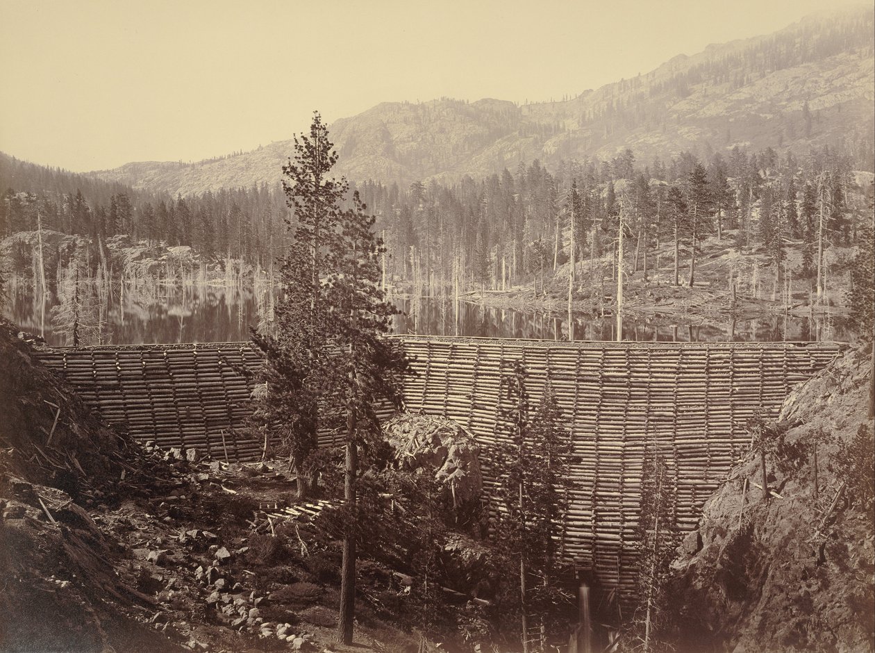 Dam and Lake, Nevada County, Near View av Carleton E. Watkins