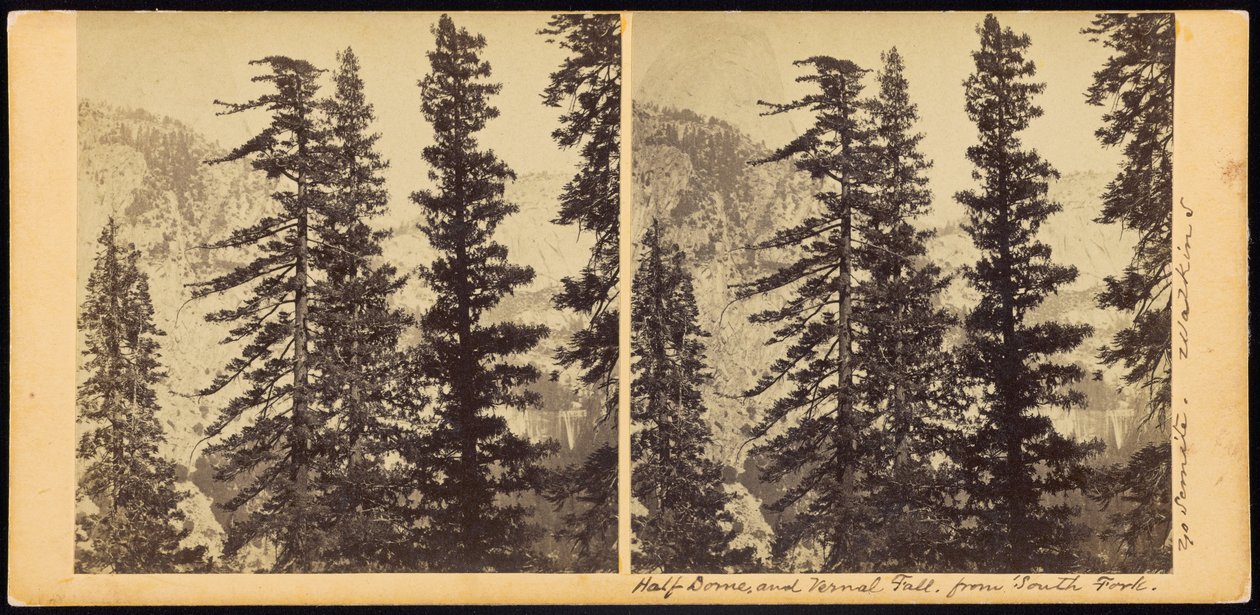 Half Dome og Vernal Fall, fra South Fork av Carleton E. Watkins