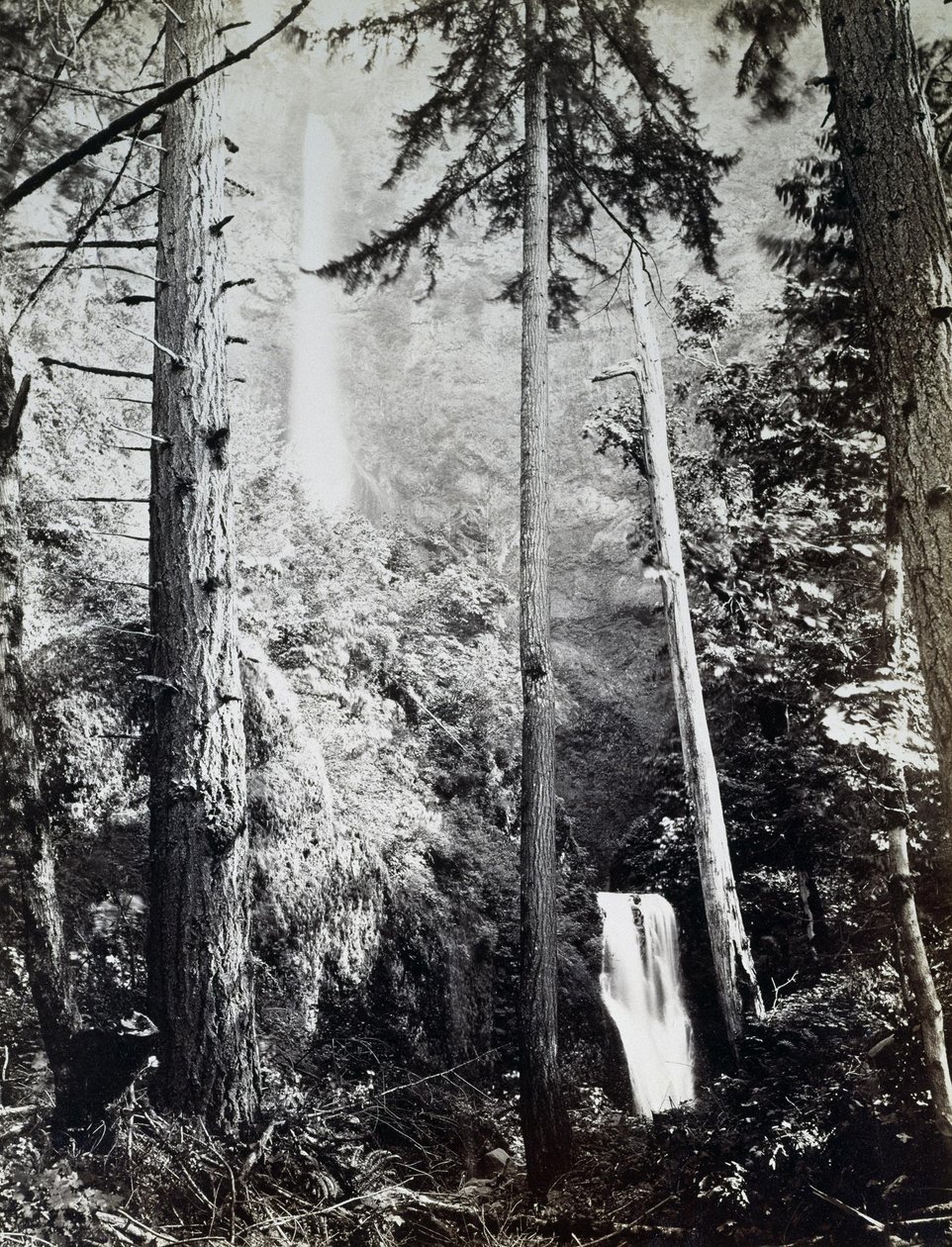 Multnomah Falls, Cascades, Columbia River av Carleton E. Watkins