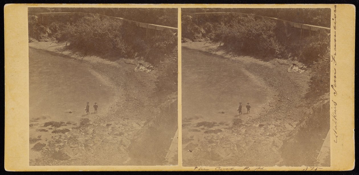 The Cove, S.F. av Carleton E. Watkins