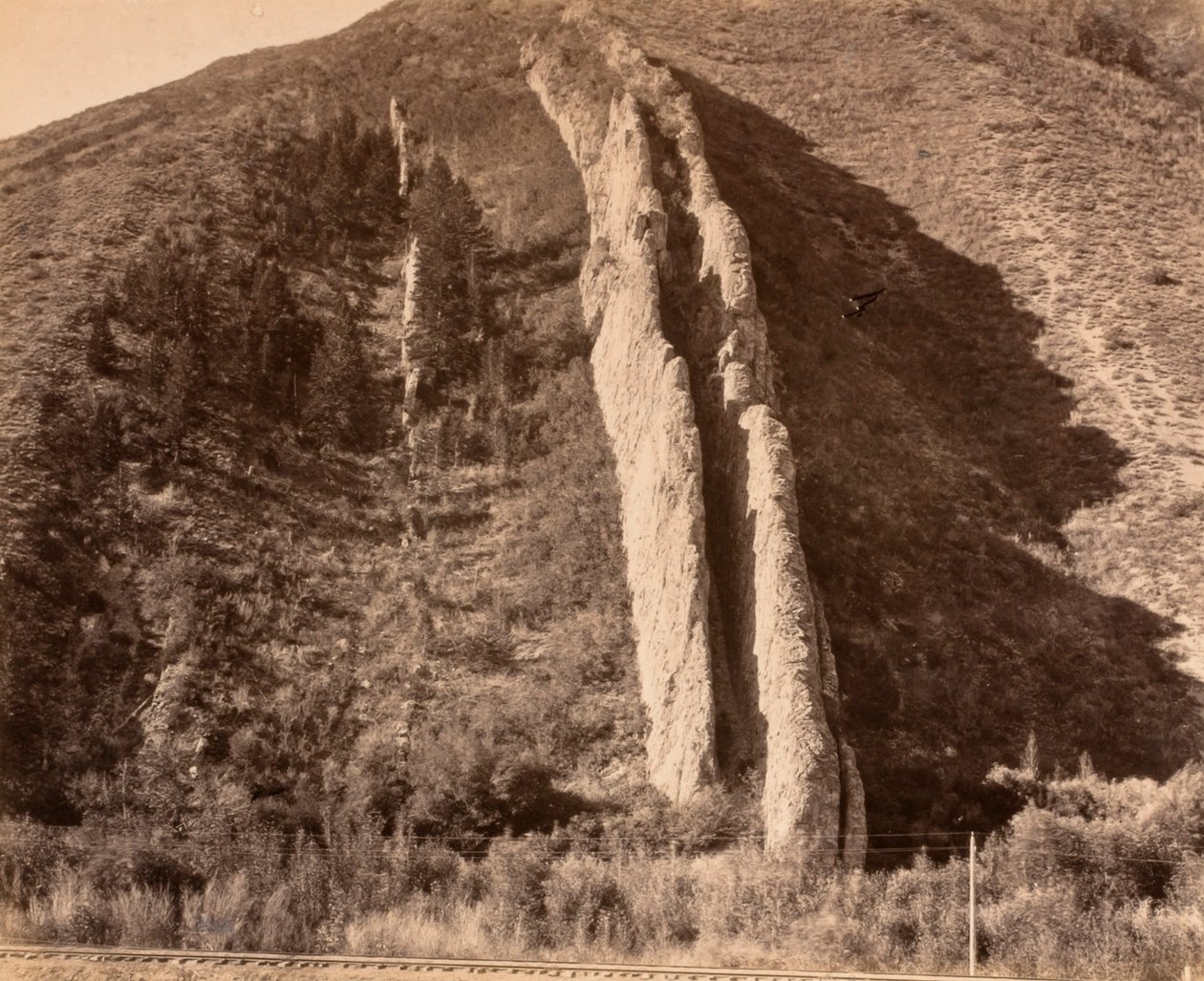  av Carleton E. Watkins