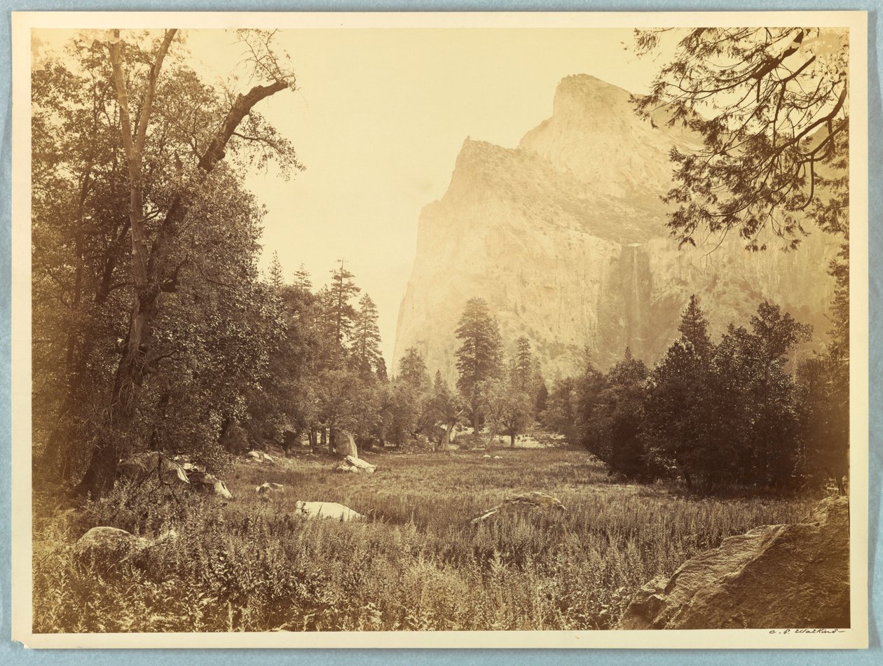 Drive, Brudeslør, Yosemite av Carleton E. Watkins