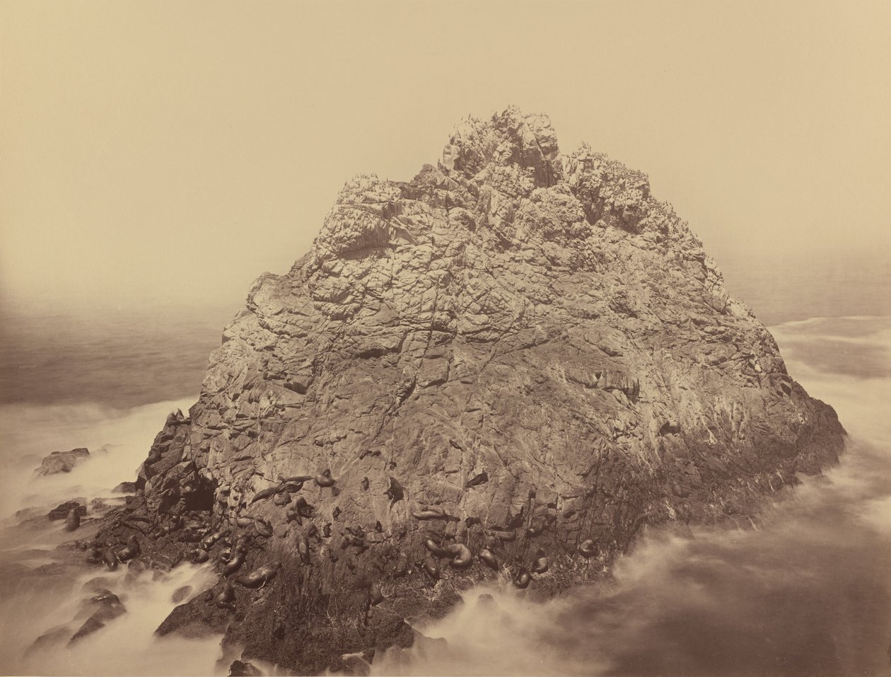 Sugar Loaf Island, Farallons av Carleton E. Watkins