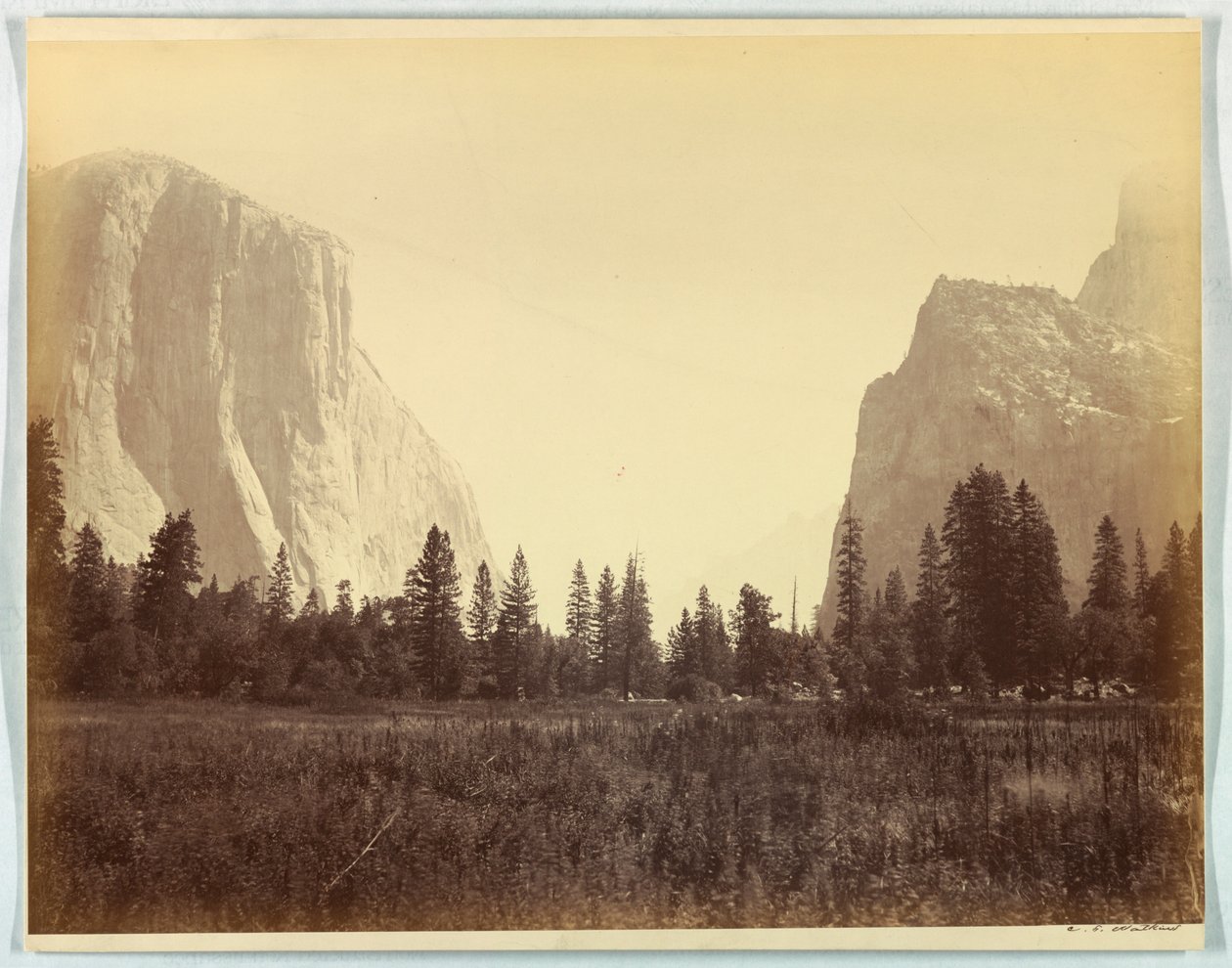 Oppover dalen fra foten av Mariposa Trail, Yosemite, no. 9 av Carleton E. Watkins