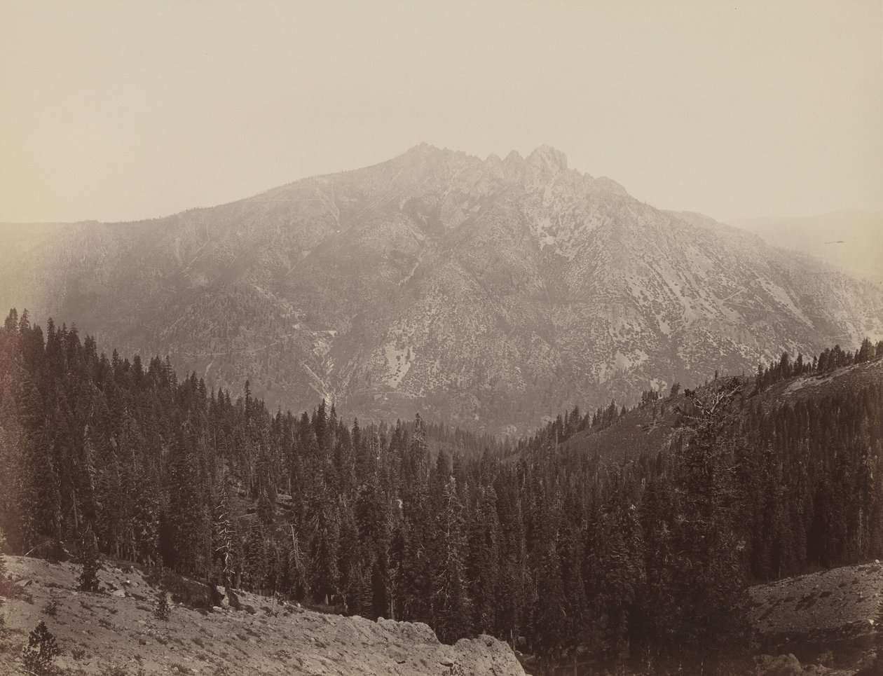  av Carleton Emmons Watkins