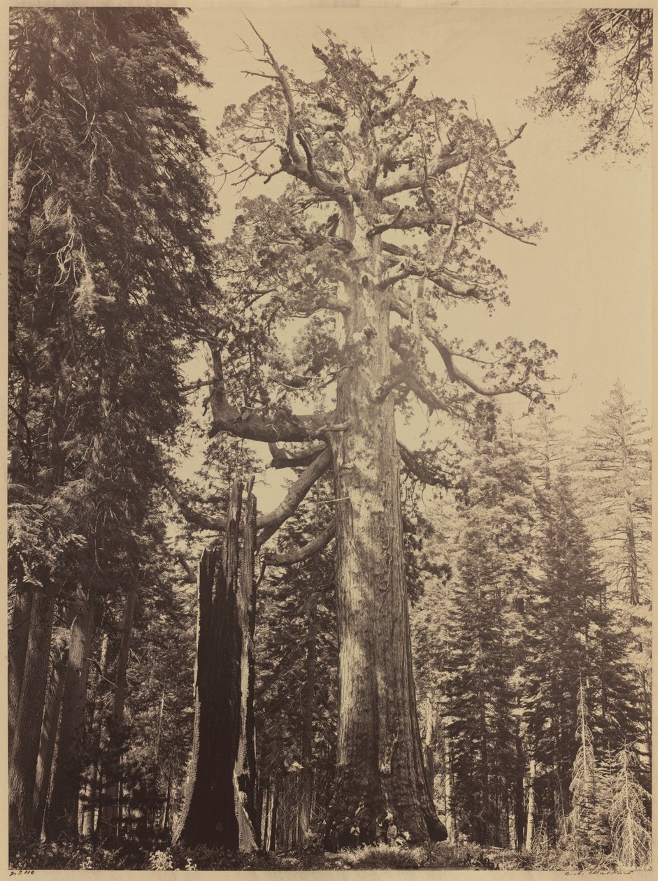  av Carleton Emmons Watkins