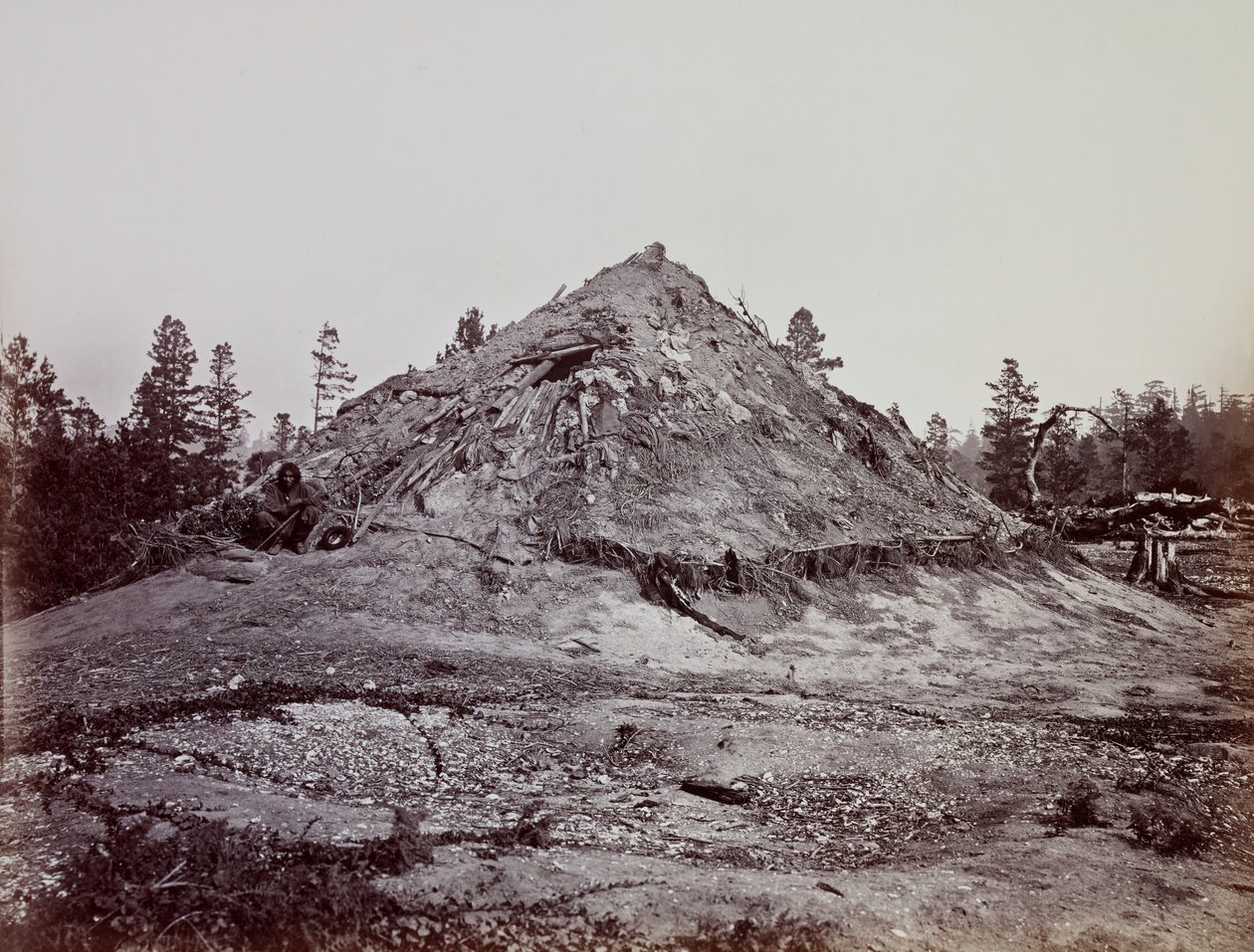 Indian Sweat House, Mendocino County, California, 1863. av Carleton Emmons Watkins