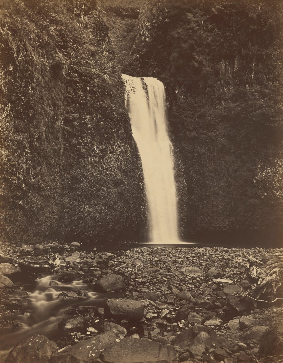  av Carleton Emmons Watkins