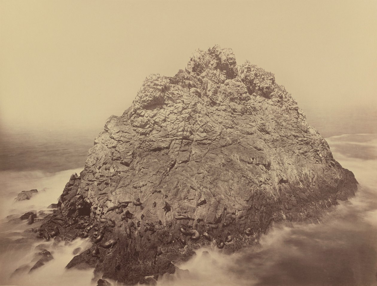  av Carleton Emmons Watkins