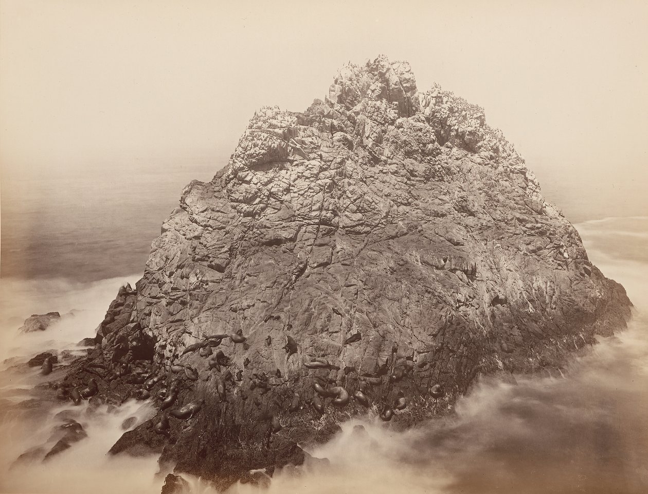 Sugar Loaf Islands, Farallons, 1868-69. av Carleton Emmons Watkins