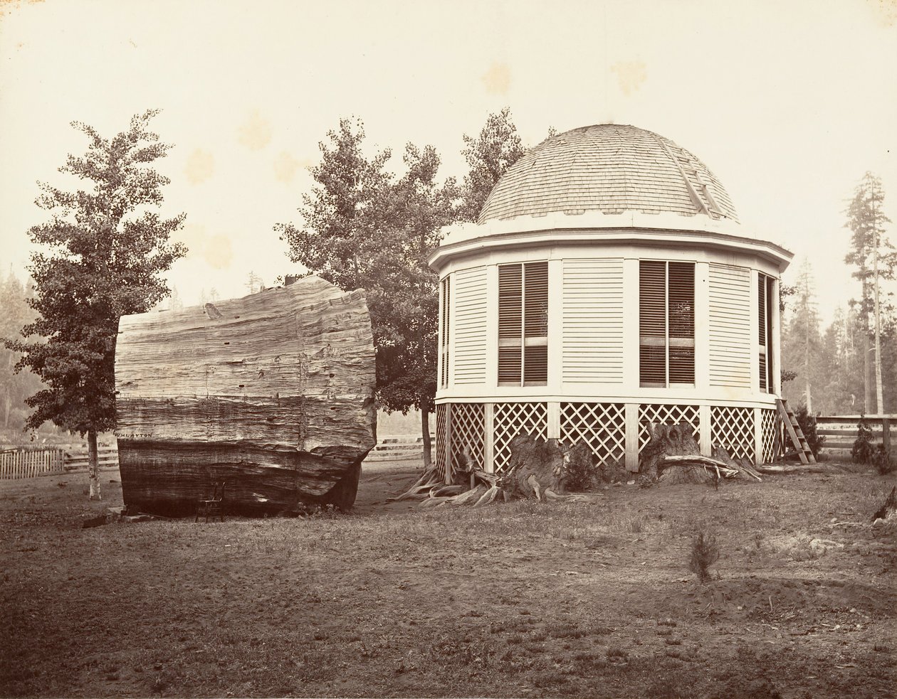 Huset over en stubbe av et stort tre, 1865-66, trykt ca. 1876. av Carleton Emmons Watkins