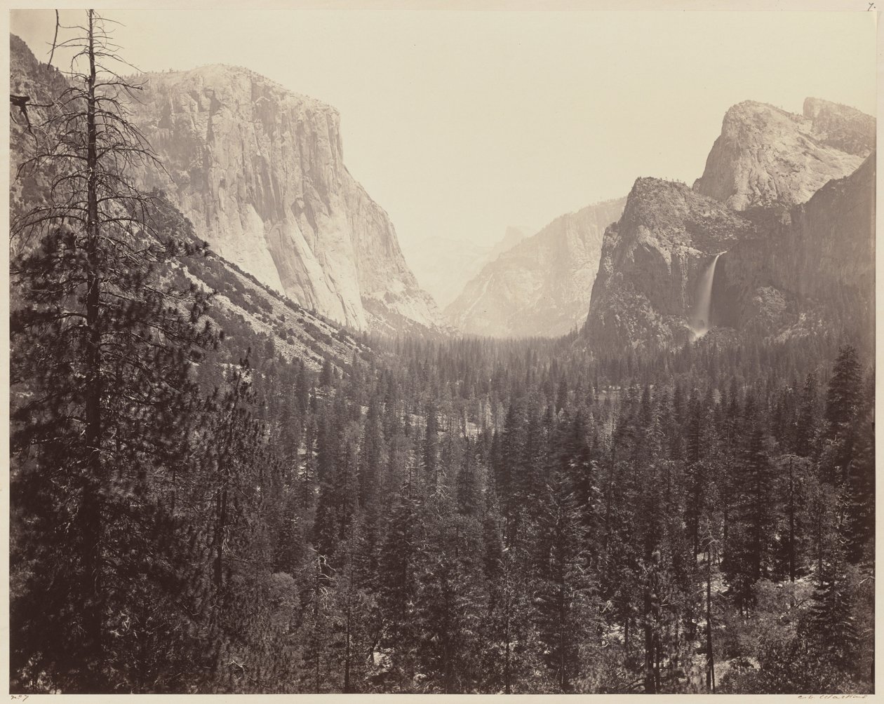 Yosemite-dalen fra Mariposa-stien, 1865-1866. av Carleton Emmons Watkins