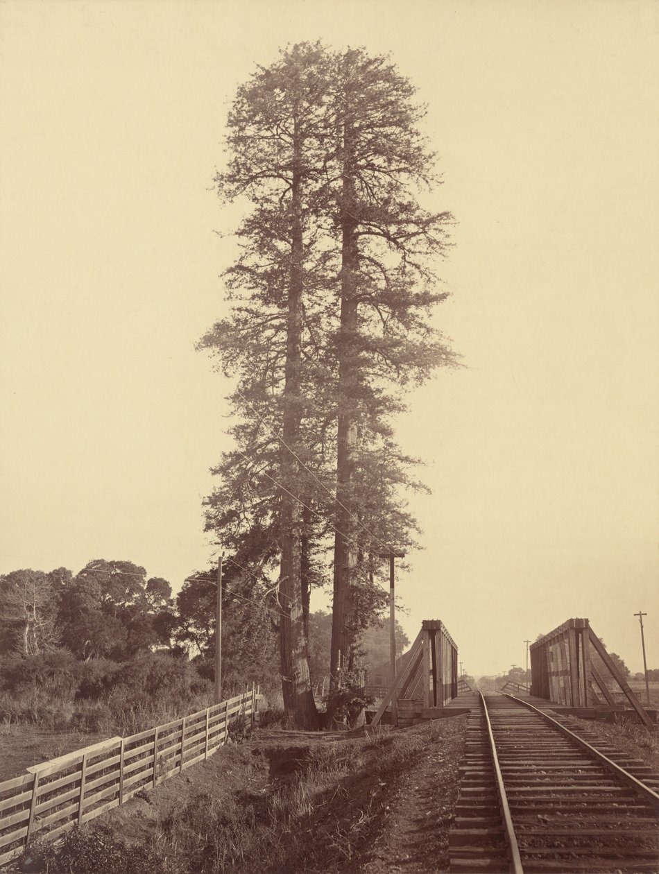  av Carleton Emmons Watkins