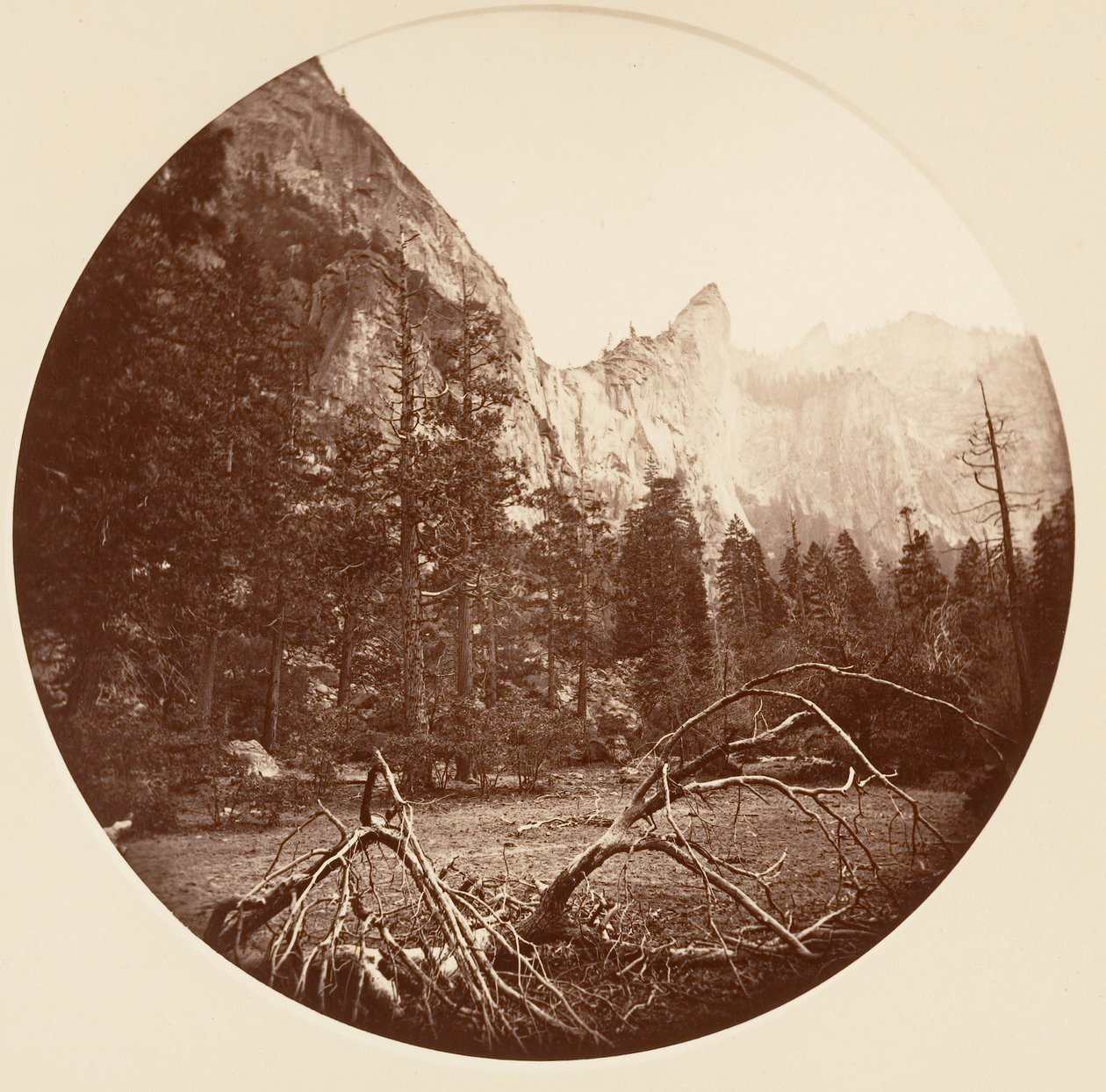 [Yosemite nasjonalpark, California], ca. 1878. av Carleton Emmons Watkins